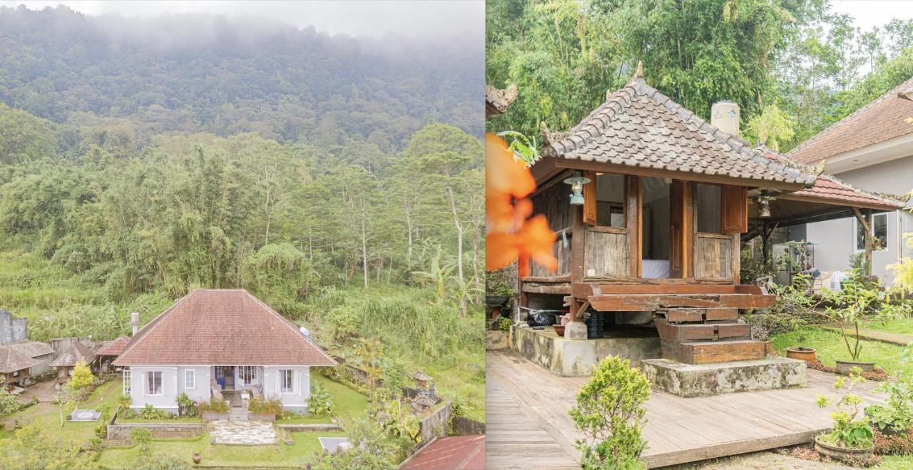 Four Monkeys House Villa Bedugul  Bagian luar foto