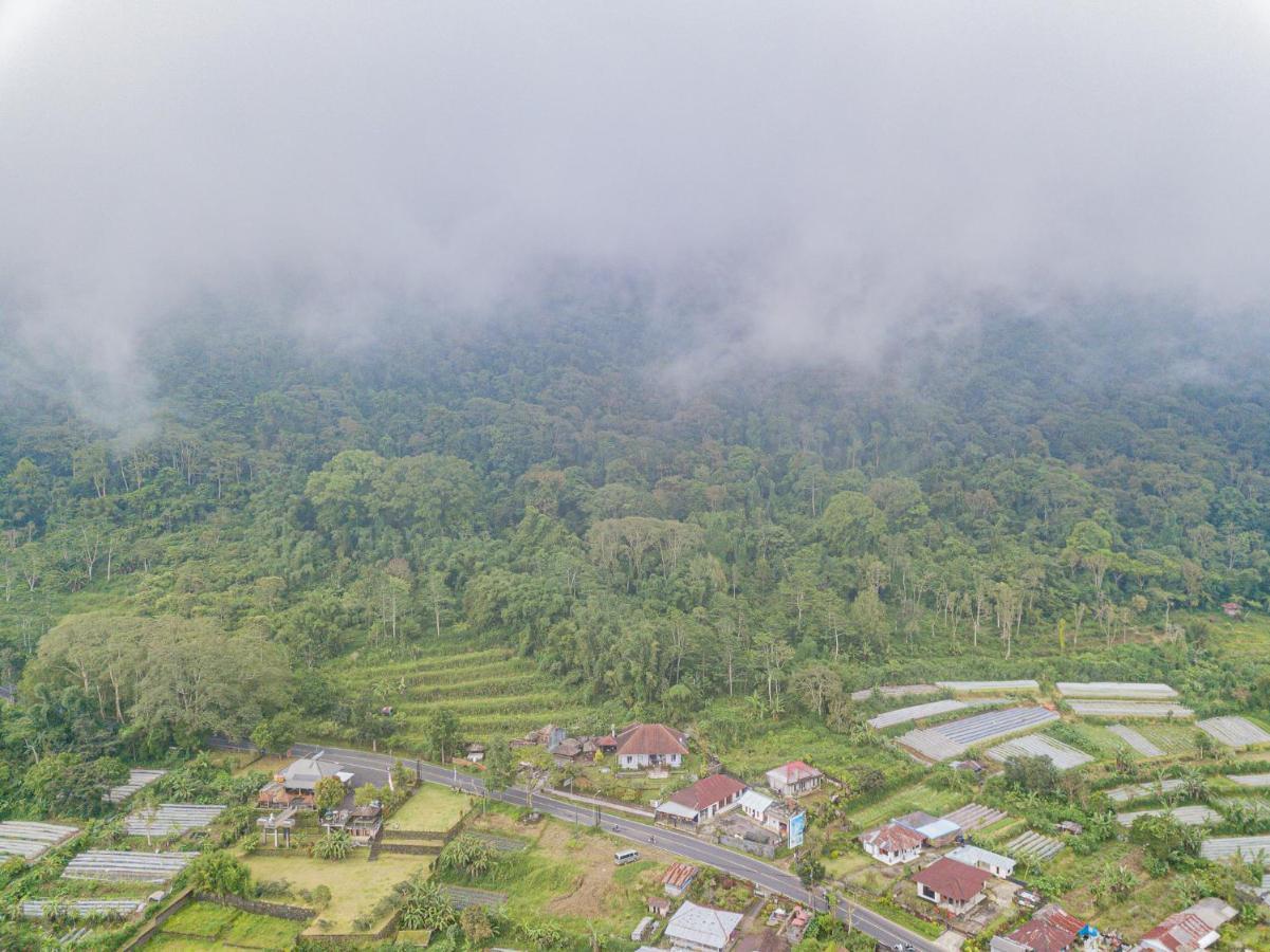 Four Monkeys House Villa Bedugul  Bagian luar foto