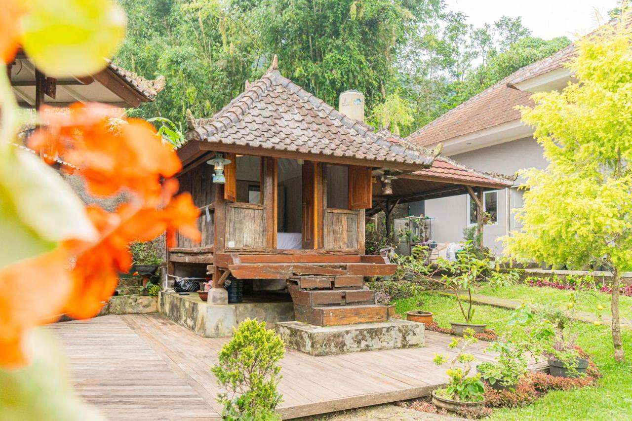Four Monkeys House Villa Bedugul  Bagian luar foto