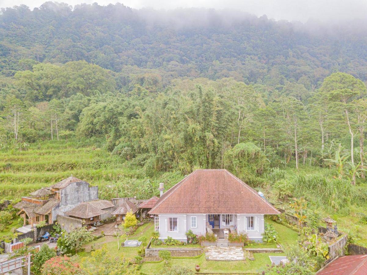Four Monkeys House Villa Bedugul  Bagian luar foto